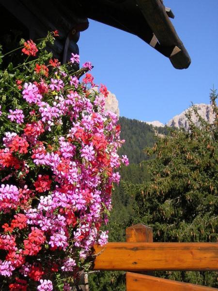 Hotel Gran Mugon Vigo di Fassa